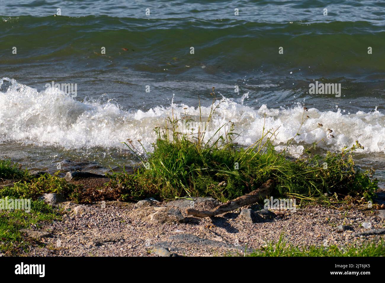 Wellen brechen am Rhein Strand, Ufer auf Stock Photo