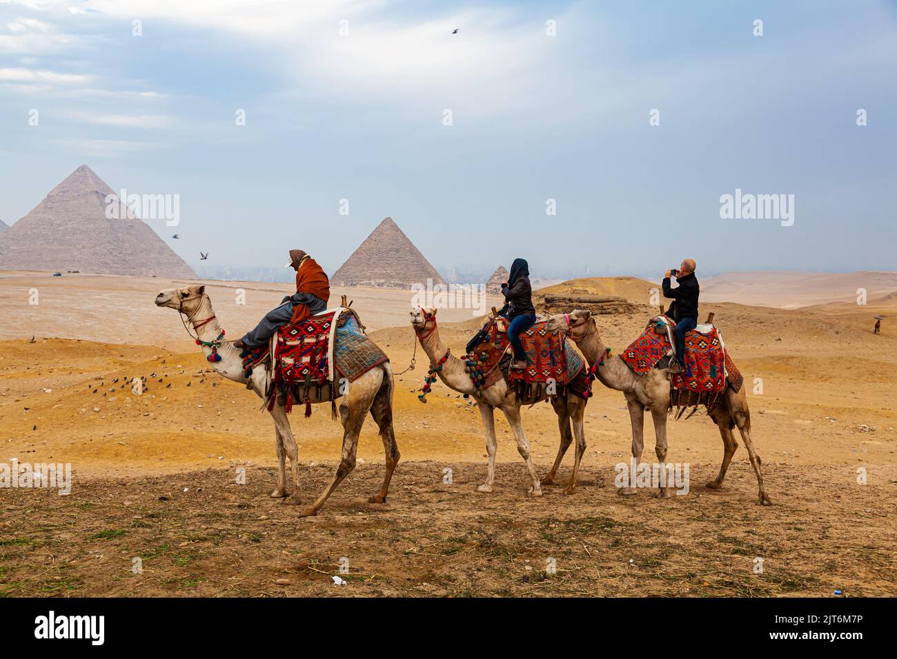 Egyptian and tourists riding camal and taking picture Pyramid of Giza in Sahara Desert at Cairo, Egypt. Stock Photo