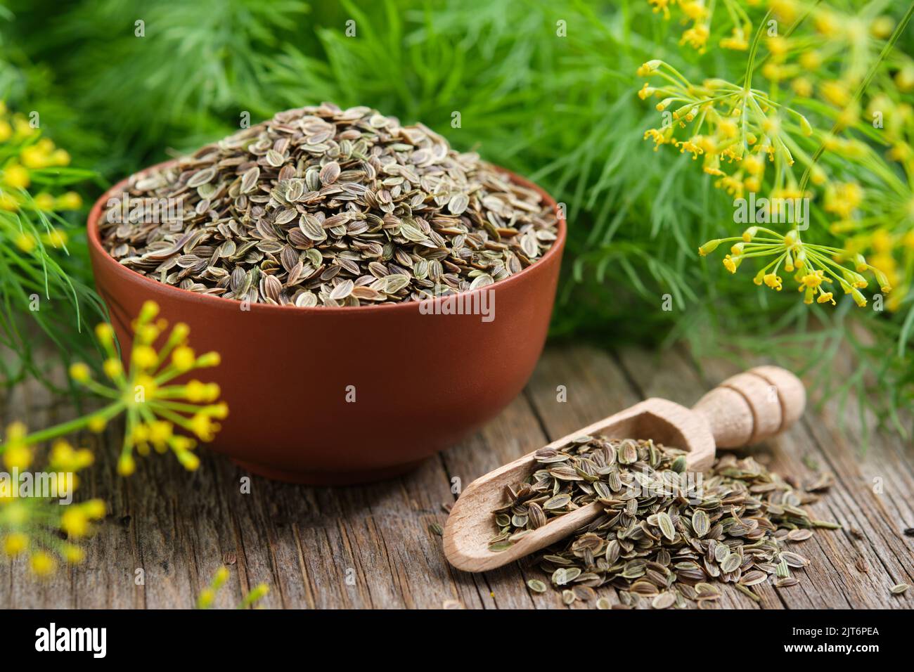 Hand seasoning with a black pepper shaker a fresh salad bowl mixed green  leaves, eggs, black olives and tomato on a wooden table with cutlery.  Nature blurred background. Vertical photography Stock Photo