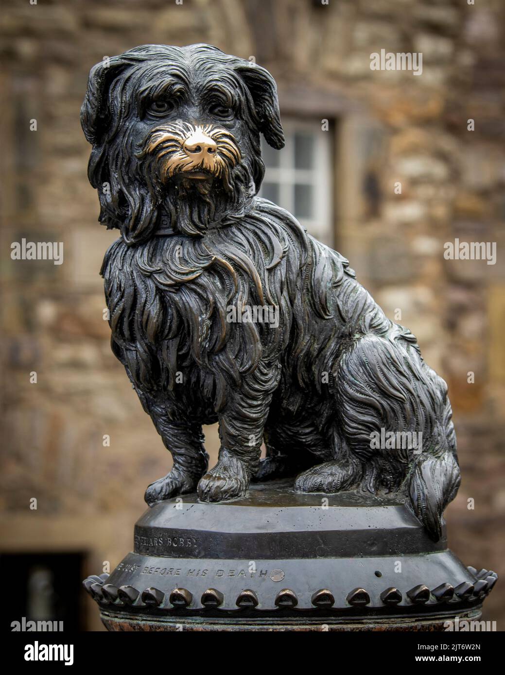Greyfriar s Bobby Edinburgh Scotland Clarissa Debenham Alamy 