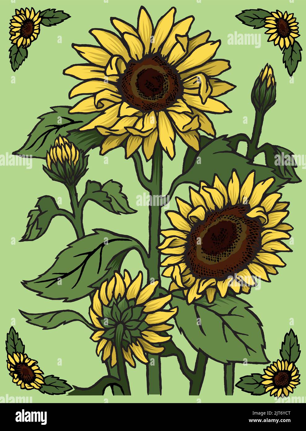 A vector graphic woodcut style illustration of a bunch of Summer sunflowers. Stock Vector