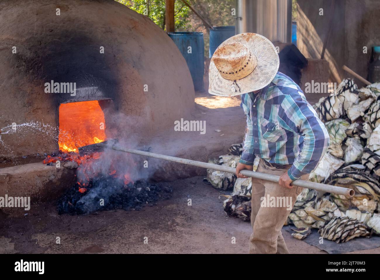 The traditional process of preparing raicilla Stock Photo - Alamy