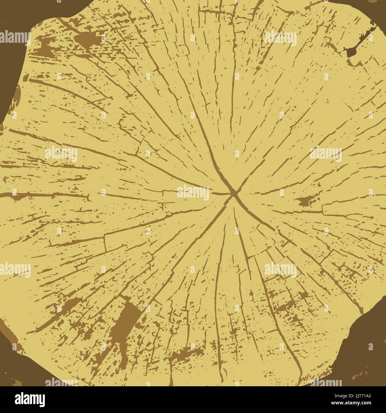 Tree rings saw cut tree trunk background. Vector illustration Stock ...