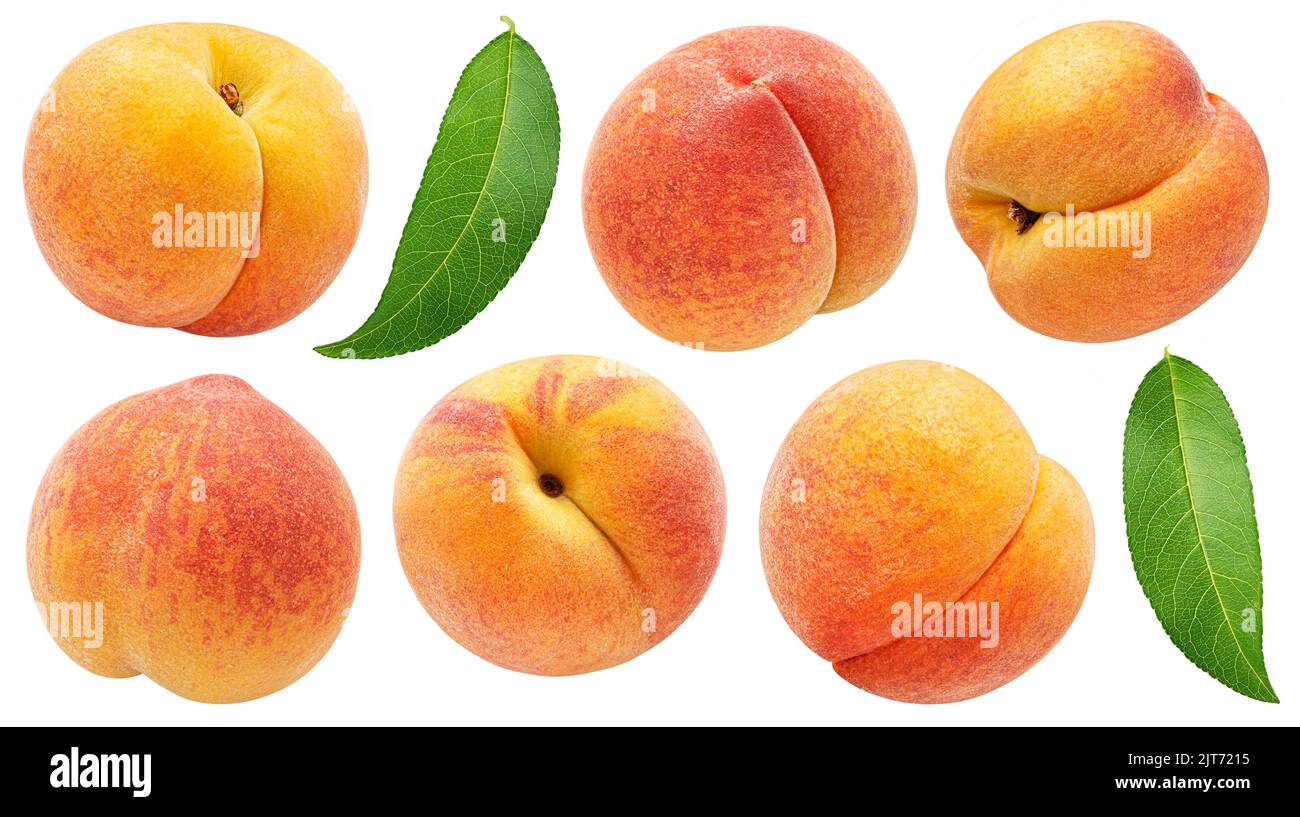 Apricot isolated on white background with clipping path Stock Photo