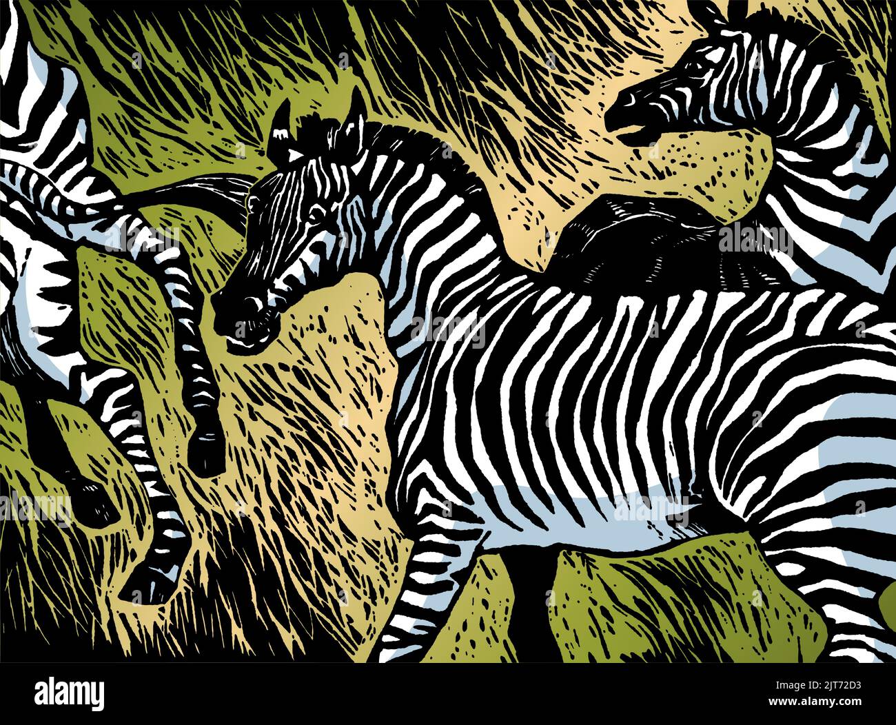 A woodcut style vector illustration of a herd of wild zebra. Stock Vector
