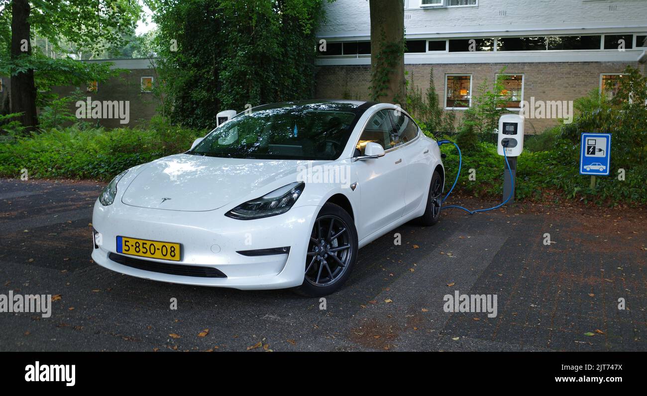 Amersfoort, Netherlands - August 28 2022 A white Testa Model 3 being charged. This is a compact executive sedan that is battery powered. It's at the m Stock Photo