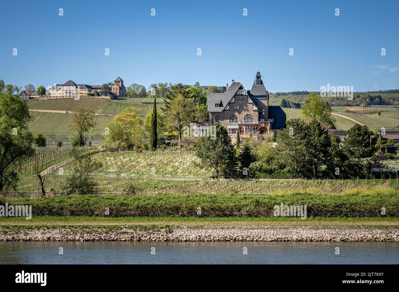 Jesuitengarten vineyard and Schloss Johannisberg winery Stock Photo