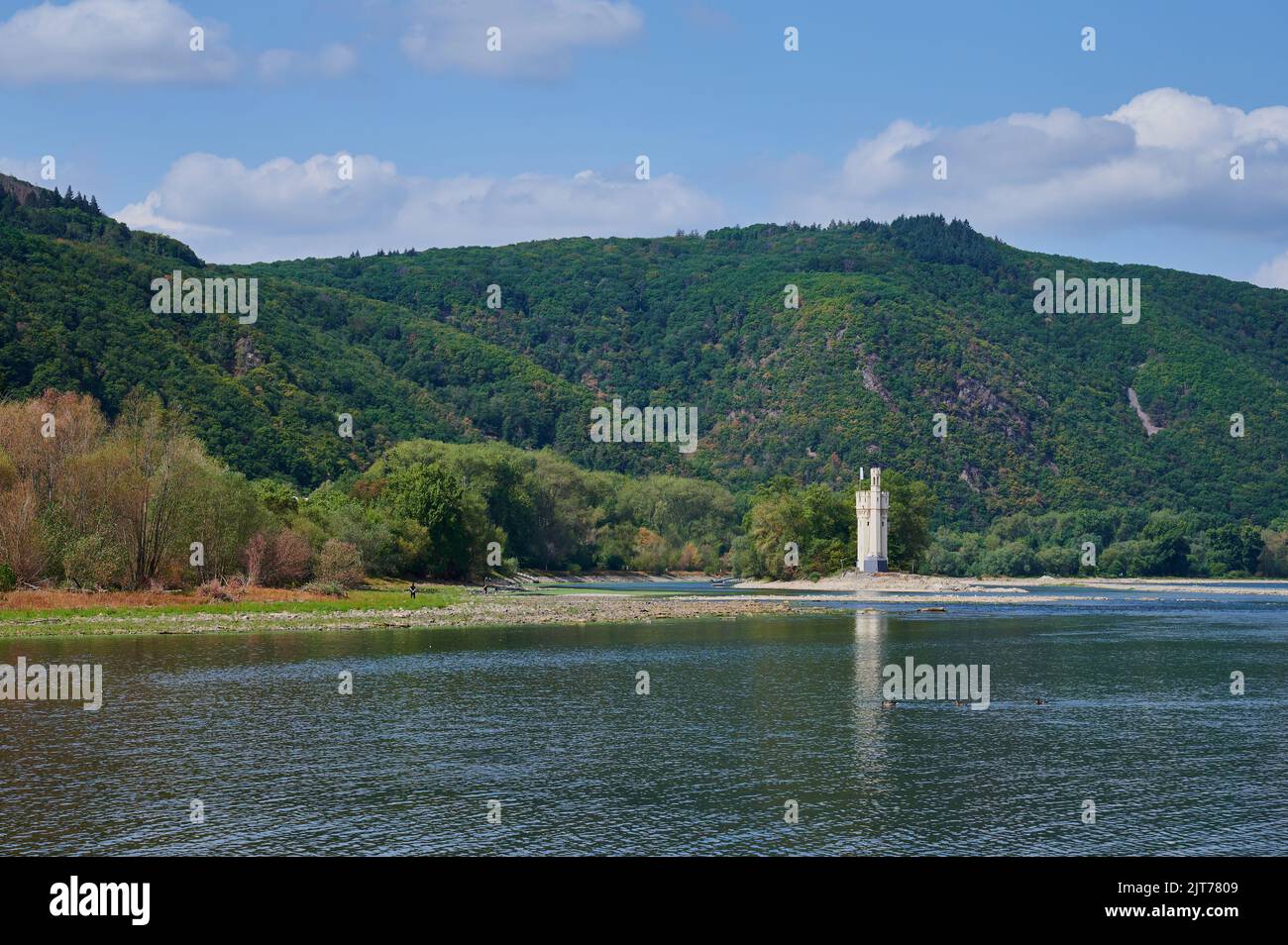 The so-called 'Mäuseturm' near Bingen in Germany at low water in the Rhine Stock Photo