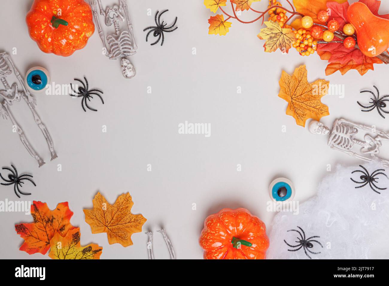 Halloween frame. Skeletons pumpkin spiders autumn leaves on a white gray background. Stock Photo