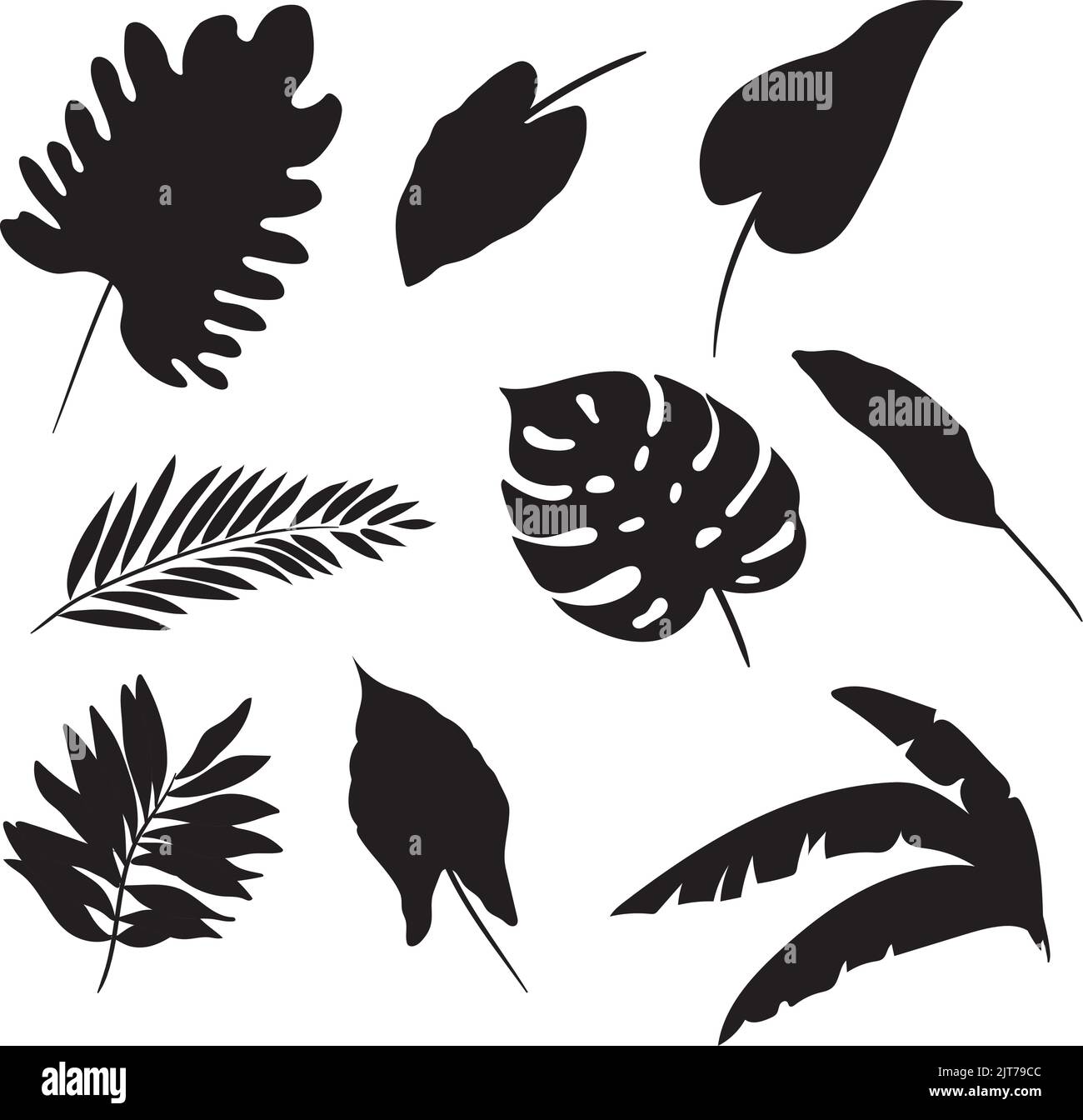 Various leaf icon set vector. Black silhouette of leaves Stock Vector ...