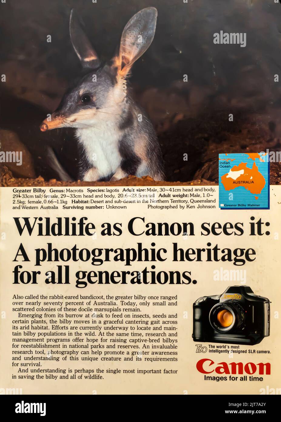 Canon T90 camera advertisement placed in a NatGeo magazine, August 1986 Stock Photo