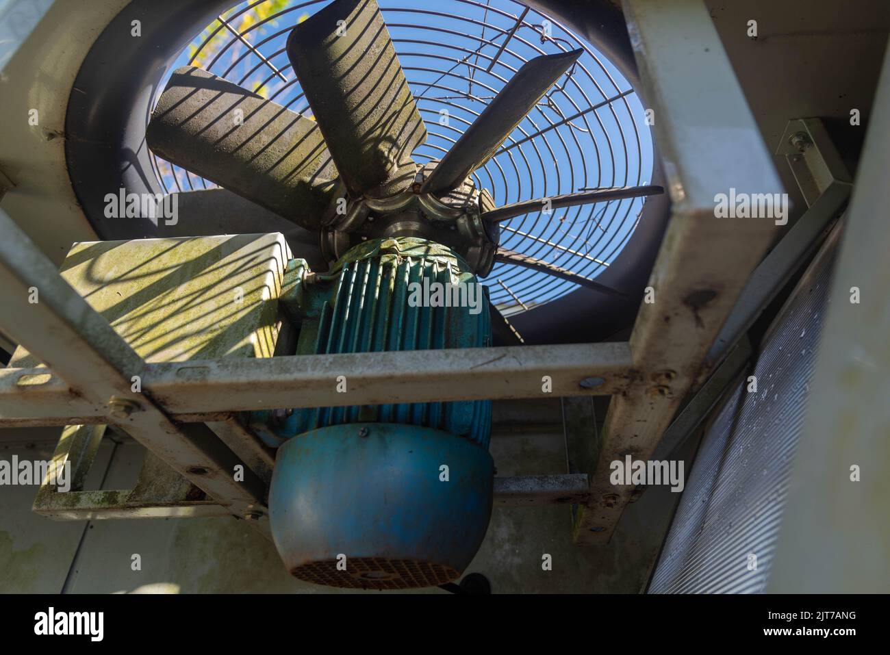 Electronic equipment and components. Electric motors and capacitors