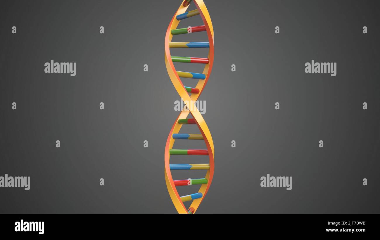 A 3D rendering visualization of DNA Deoxyribonucleic acid molecule
