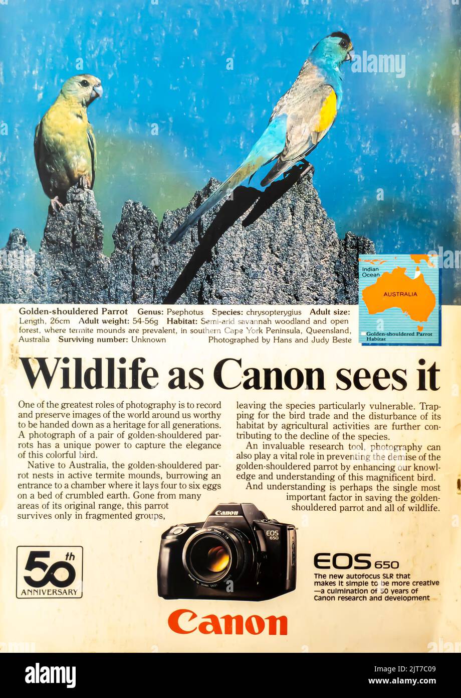 Canon EOS 650 photo camera advertisement placed inside a NatGeo magazine, April 1987 Stock Photo