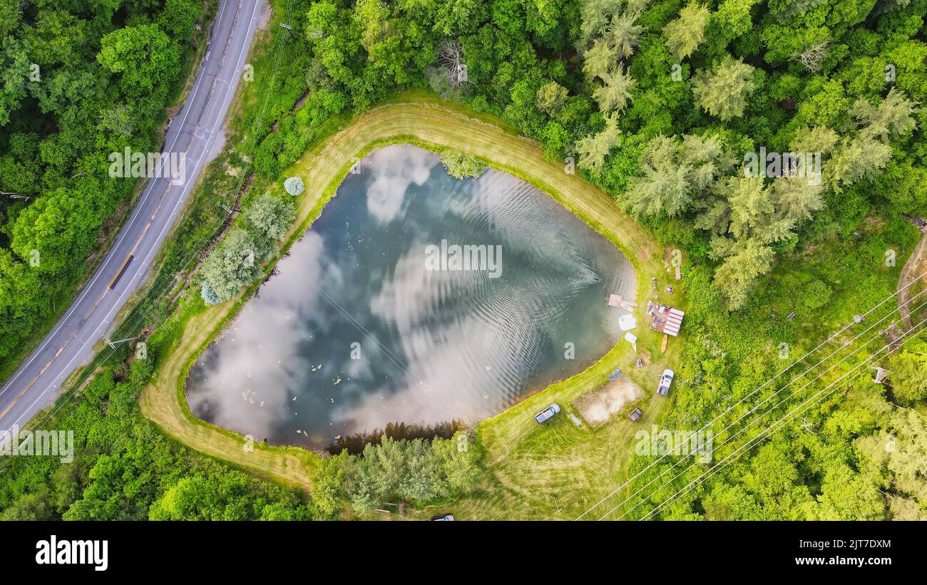 An aerial view of lake surrounded by dense trees Stock Photo - Alamy