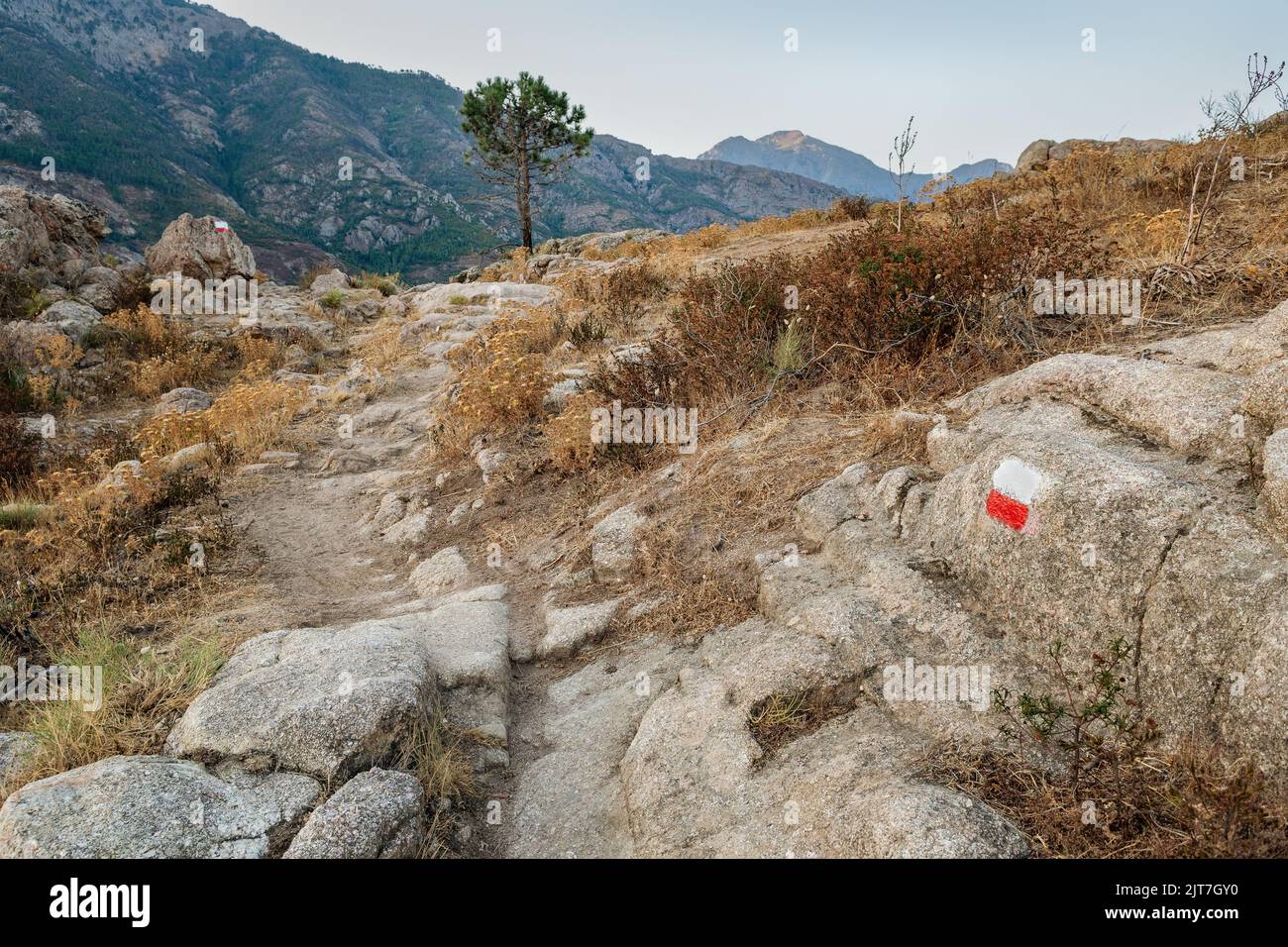 GR20 trail between Calenzana and Bocca u Saltu, Corsica, France Stock Photo
