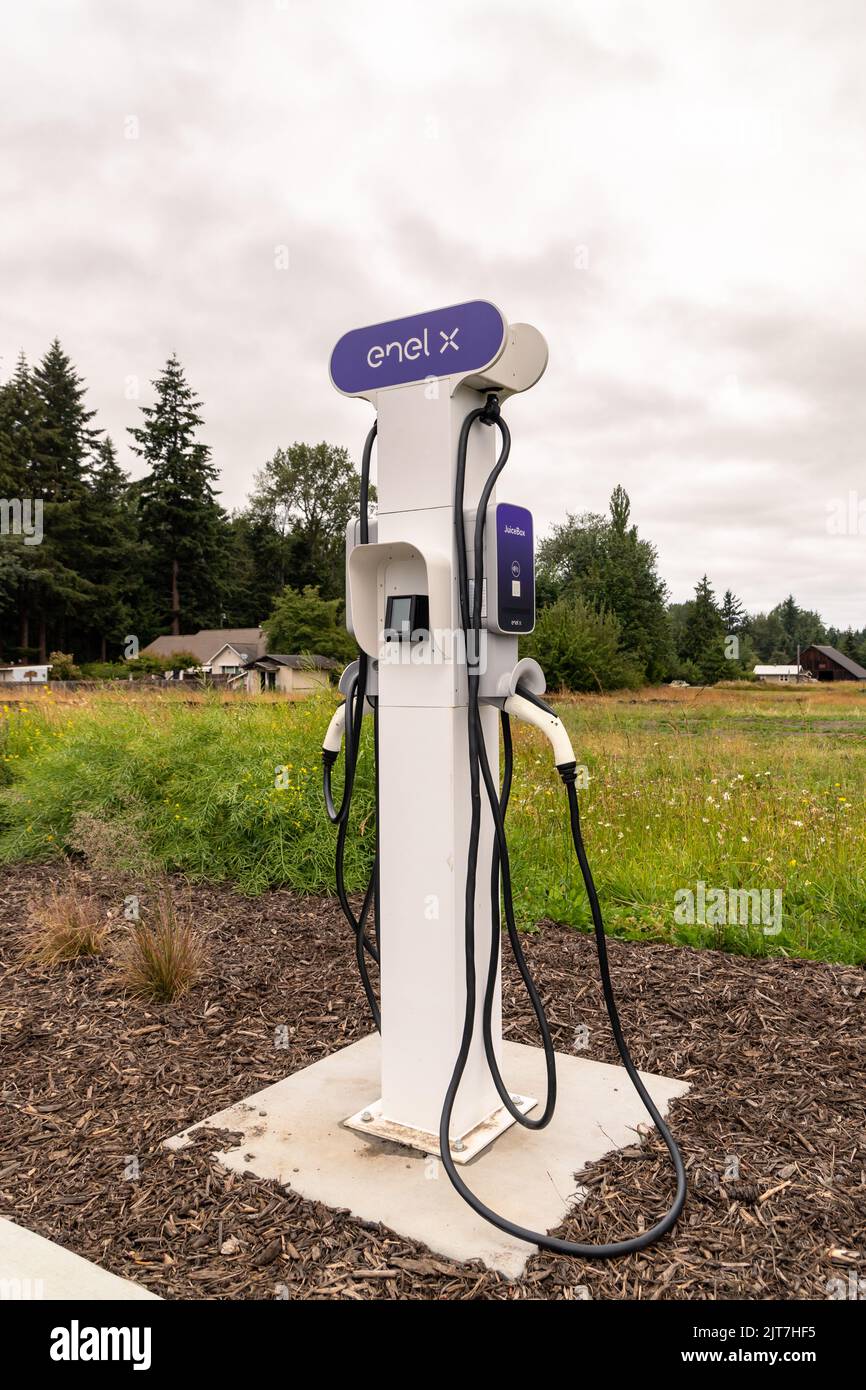 TURN, ITALY - Jun 19, 2019: Un primo piano verticale del caricatore per auto  elettrica della centrale elettrica Enel x Foto stock - Alamy