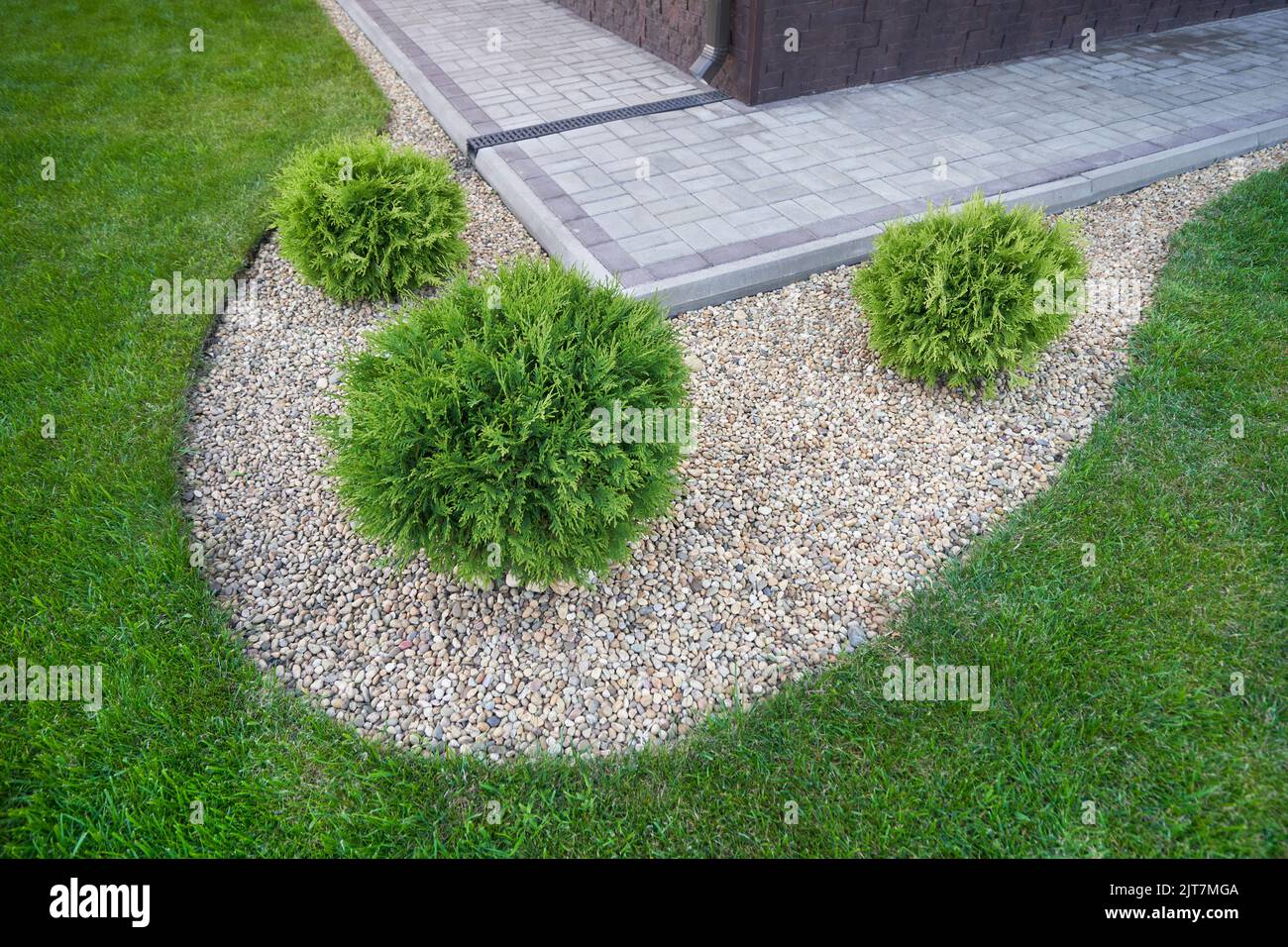 Landscaping in the garden with stones and coniferous bushes of Thuja Stock Photo