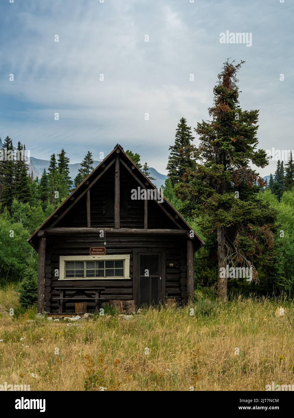 log cabin tack new hampshire