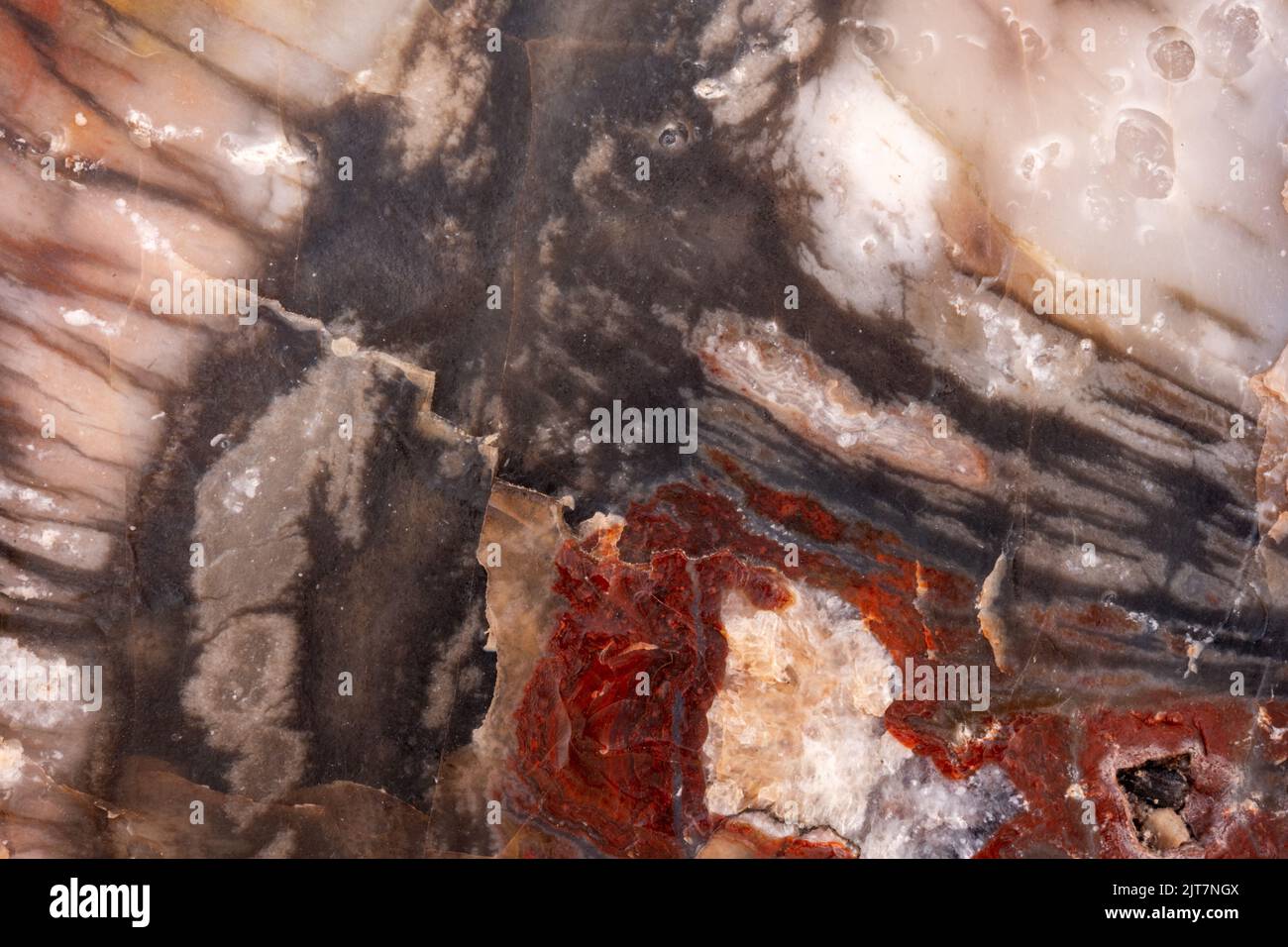 Red Smear Of Color On Sploches of Black And White Petrified Wood background image Stock Photo