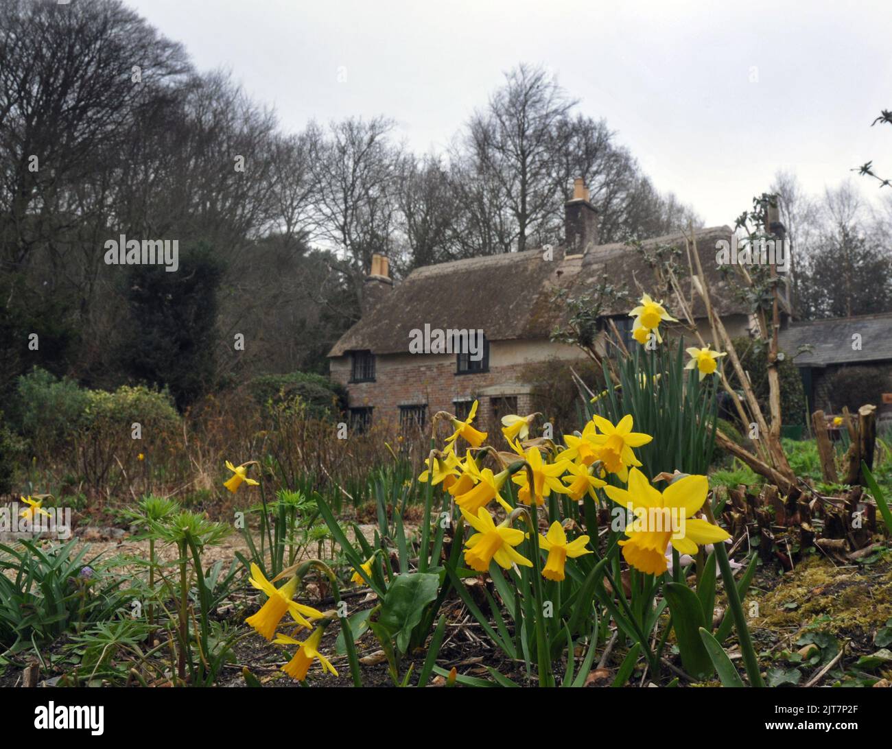 AUTHOR THOMAS HARDY'S COTTAGE AT HIGHER BOCKHAMPTON, NEAR DORCHESTER, DORSET. PIC MIKE WALKER, MIKE WALKER PICTURES 2012 Stock Photo