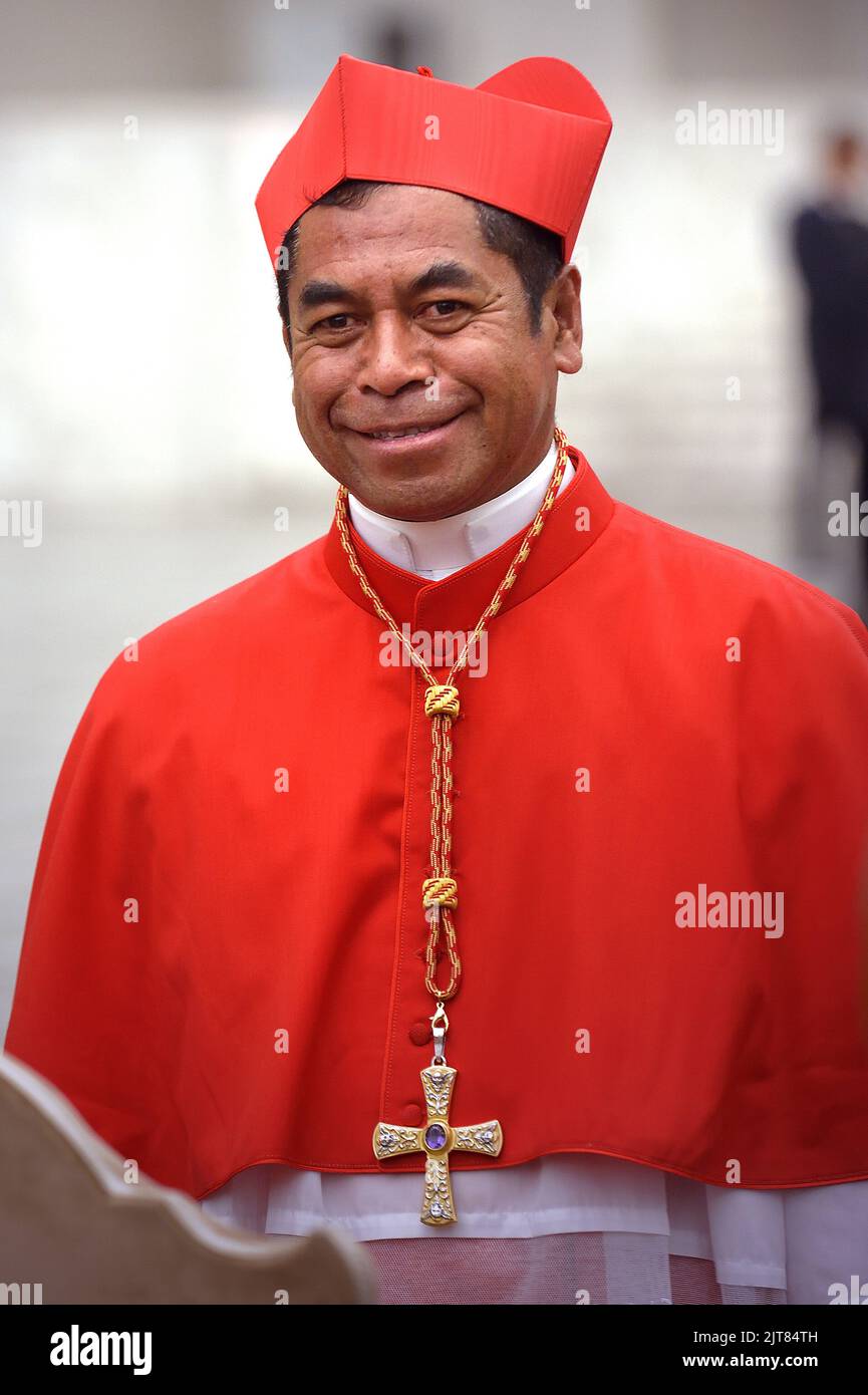 Cardinal Virgilio Do Carmo Da Silva Hi-res Stock Photography And Images ...