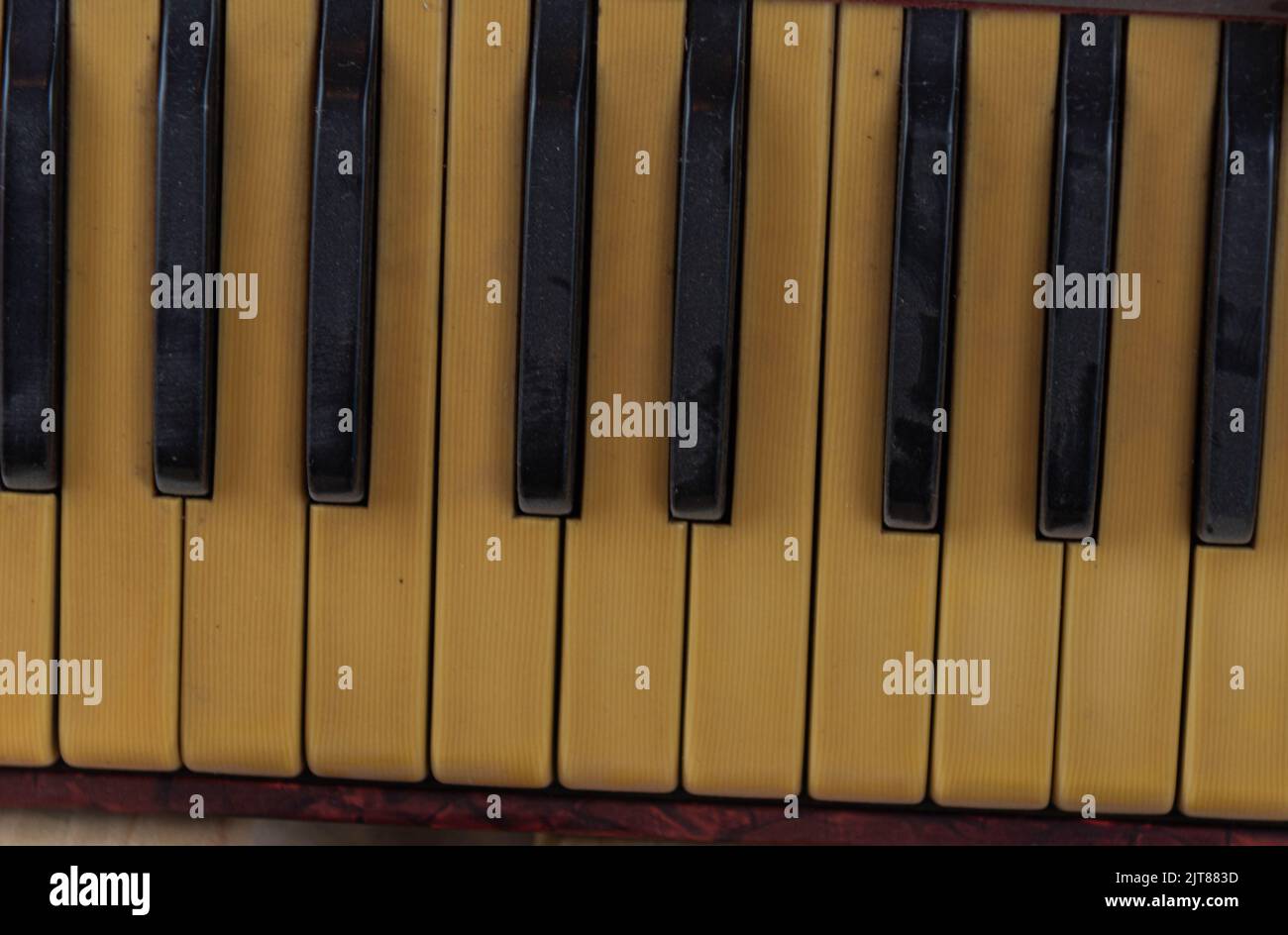 Old red accordion. Wind musical instrument. Old concertina. Musical