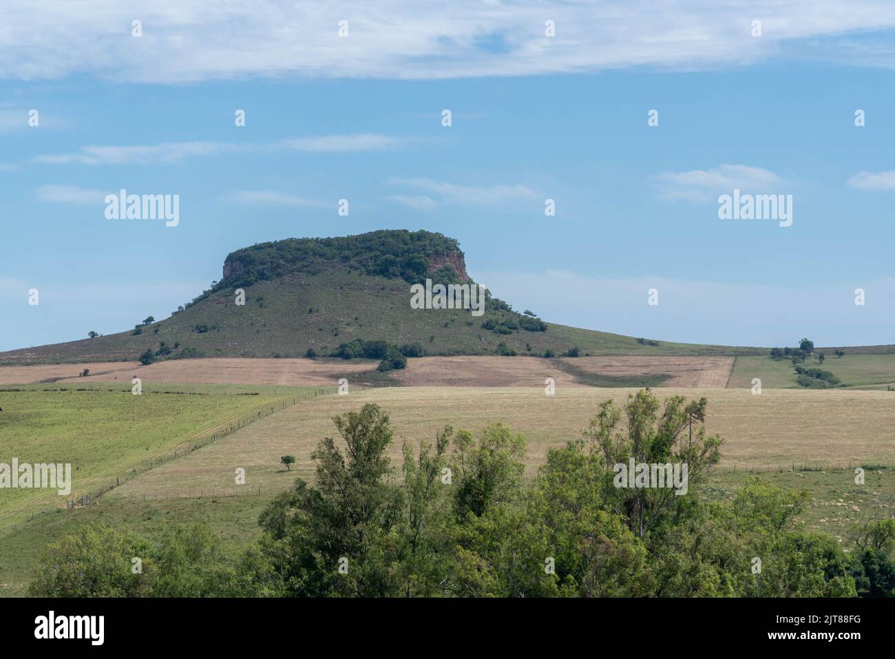 Pasture field and cattle raising and geological formation in Brazil. Paleobotanical site existing in the municipalities of São Pedro do Sul. Rural lan Stock Photo