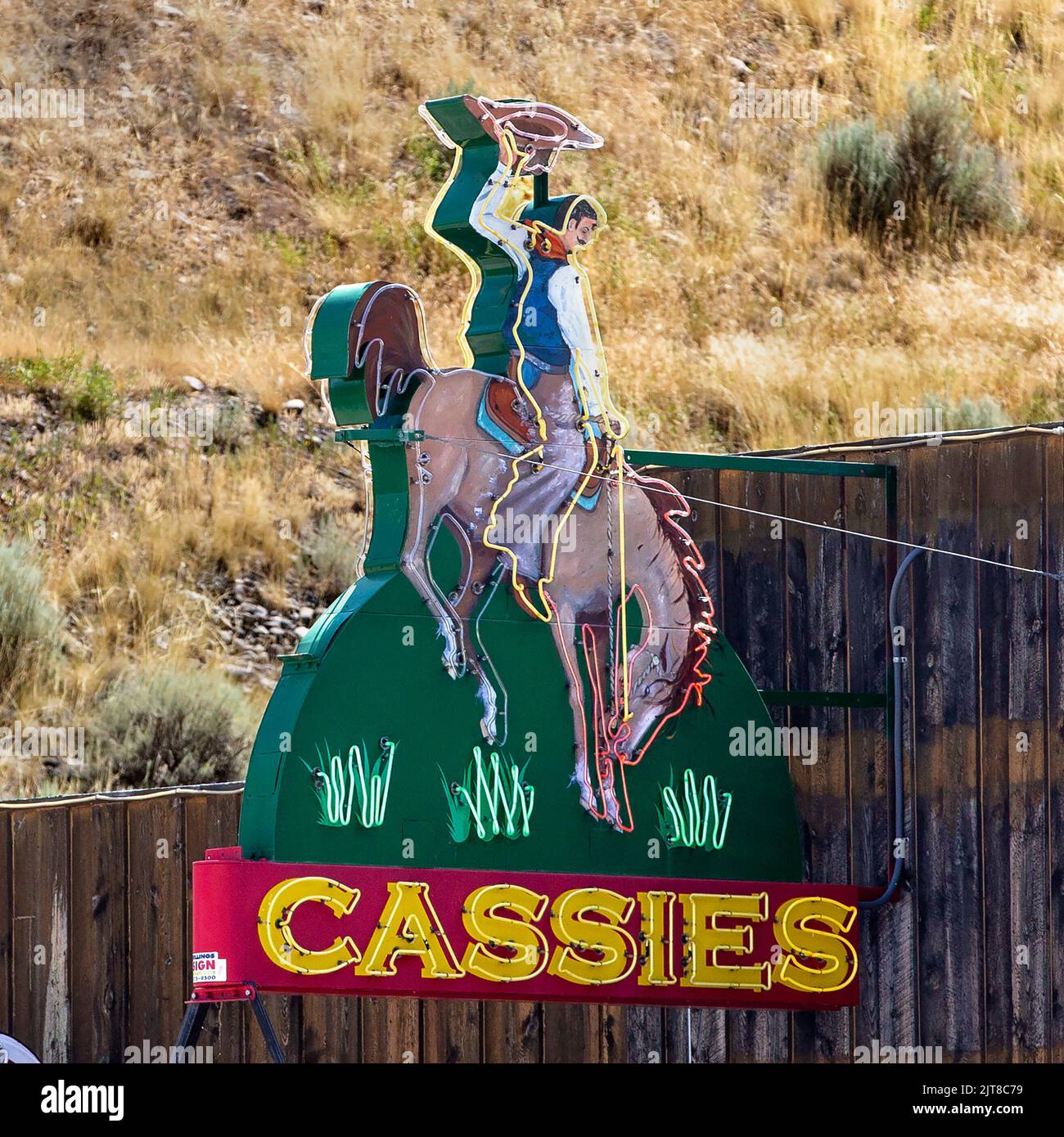 Roadside neon sign of a bucking bronco and cowboy for Cassie’s Bar and Lounge in Cody, Wyoming. Stock Photo