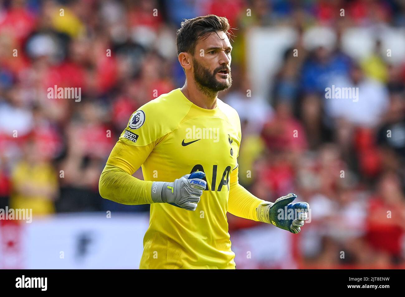 Hugo lloris uruguay hi-res stock photography and images - Alamy