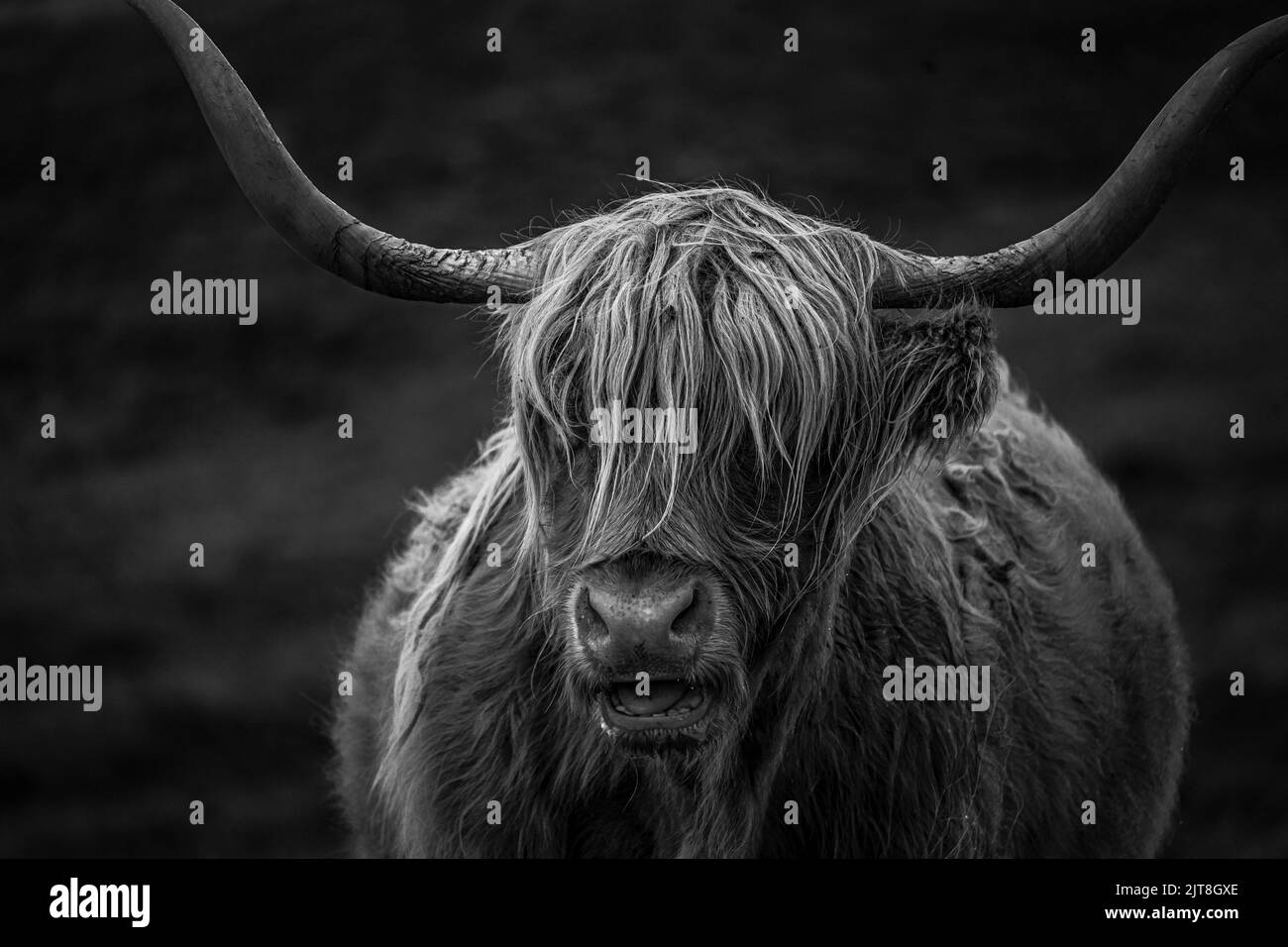 The isle of skye scotland stock photo alamy