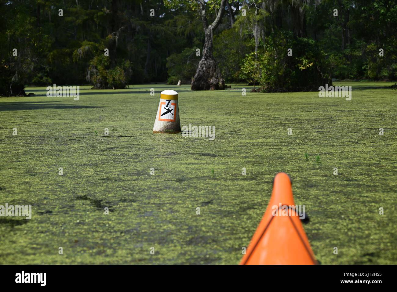 Buoys mark the water trail in Merchants Millpond State Park in North Carolina. Stock Photo