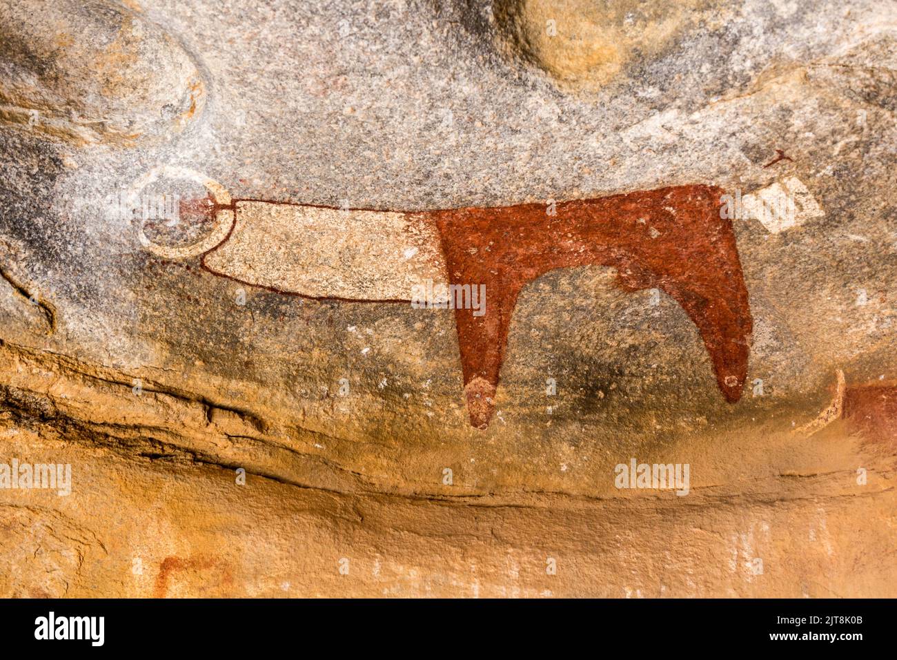 Laas Geel rock paintings depicting aurochs, Somaliland Stock Photo