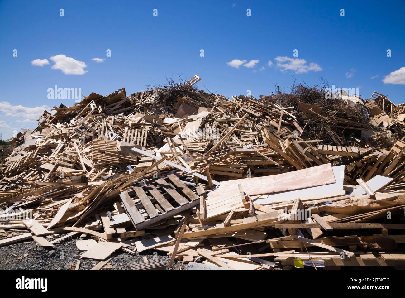 Pile of discarded wood at waste management site Stock Photo Alamy