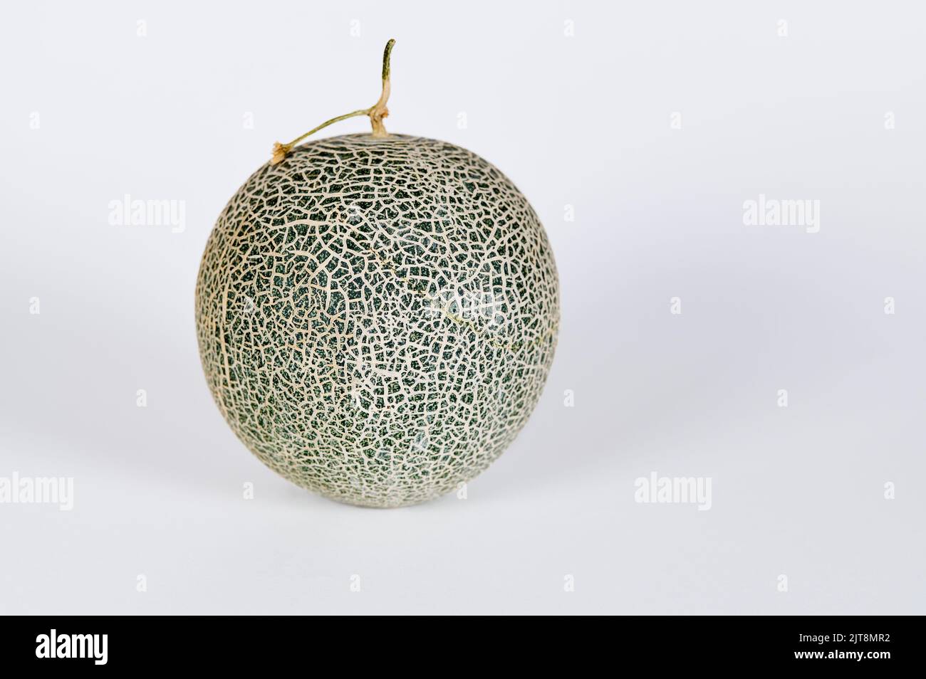 Single Cantaloupe melon on a white background Stock Photo