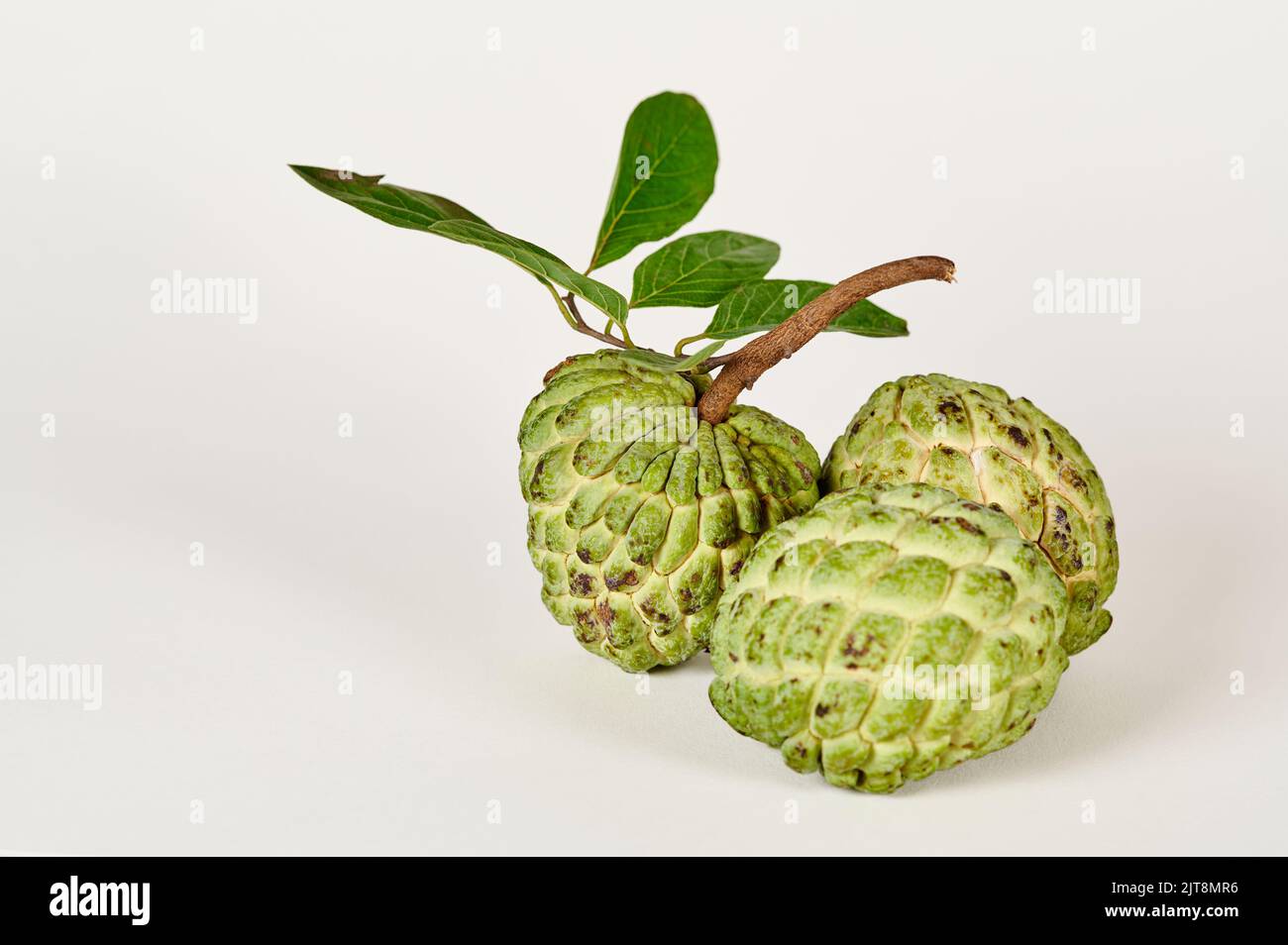 Ripe Sugar apple fruits (annona squamosa) on a white background Stock ...
