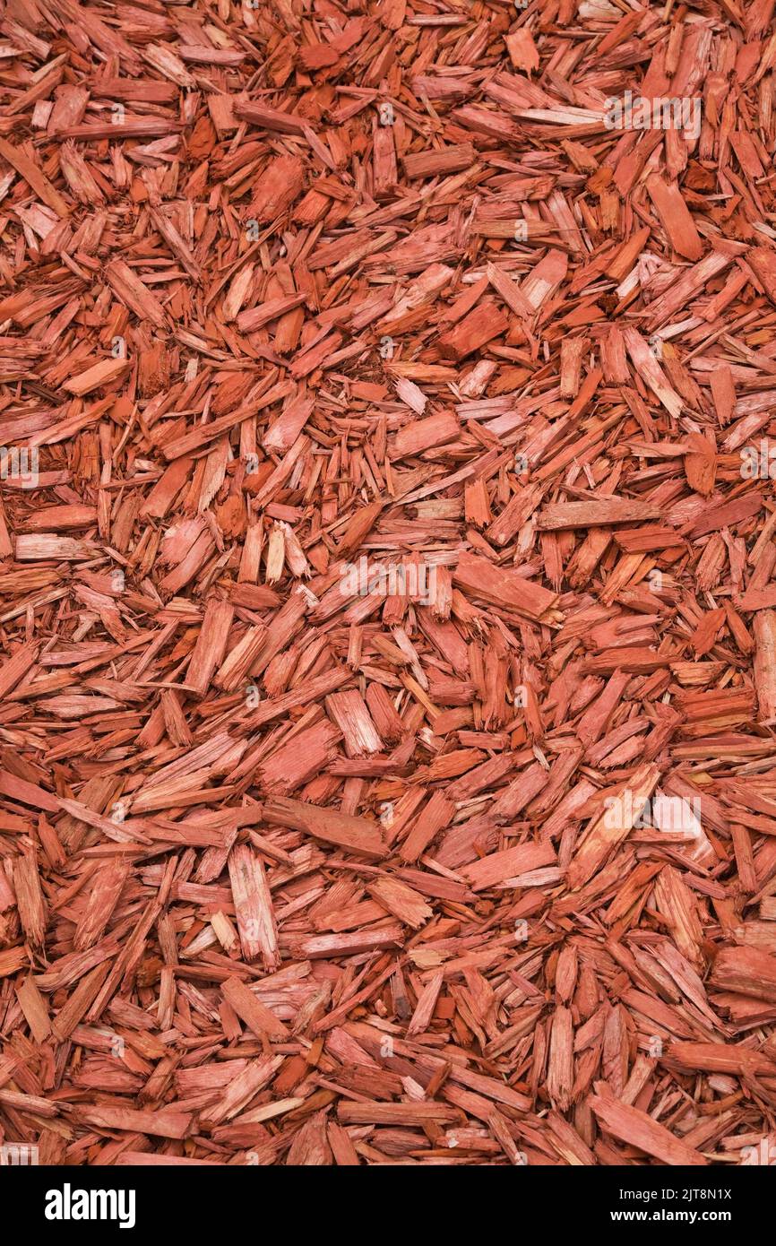 Cedar bark chips hires stock photography and images Alamy