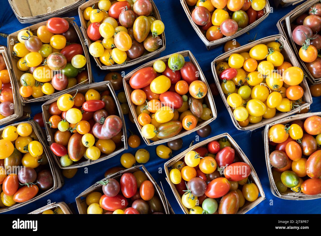 Multicolored tomatoes, pattern of yellow, red and orange cherry tomatoes Stock Photo