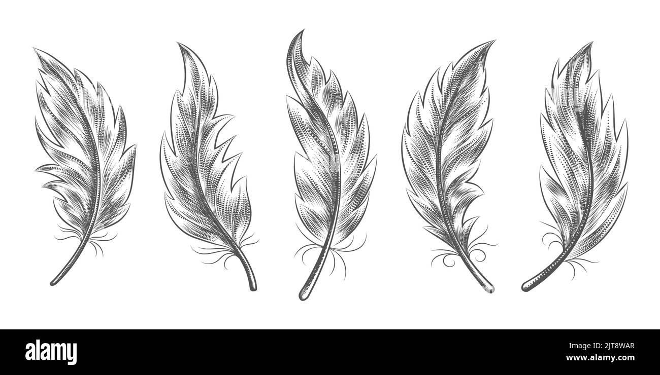 Feather sketch icons Stock Vector