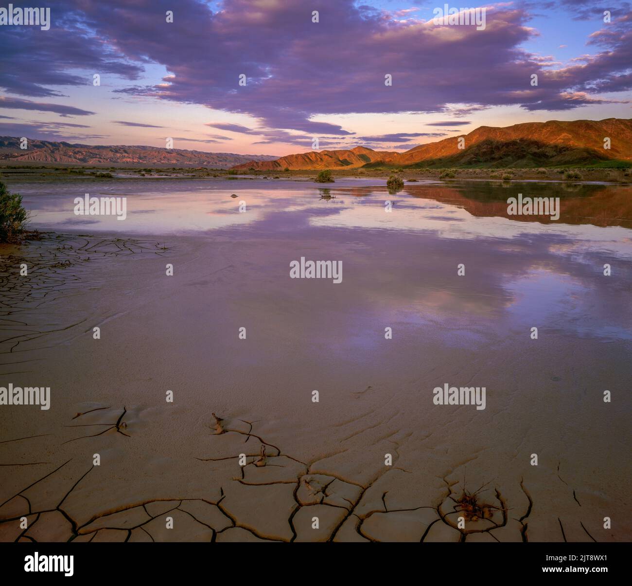 Sunrise, Amargosa River, Saratoga Springs, Death Valley National Park, California Stock Photo