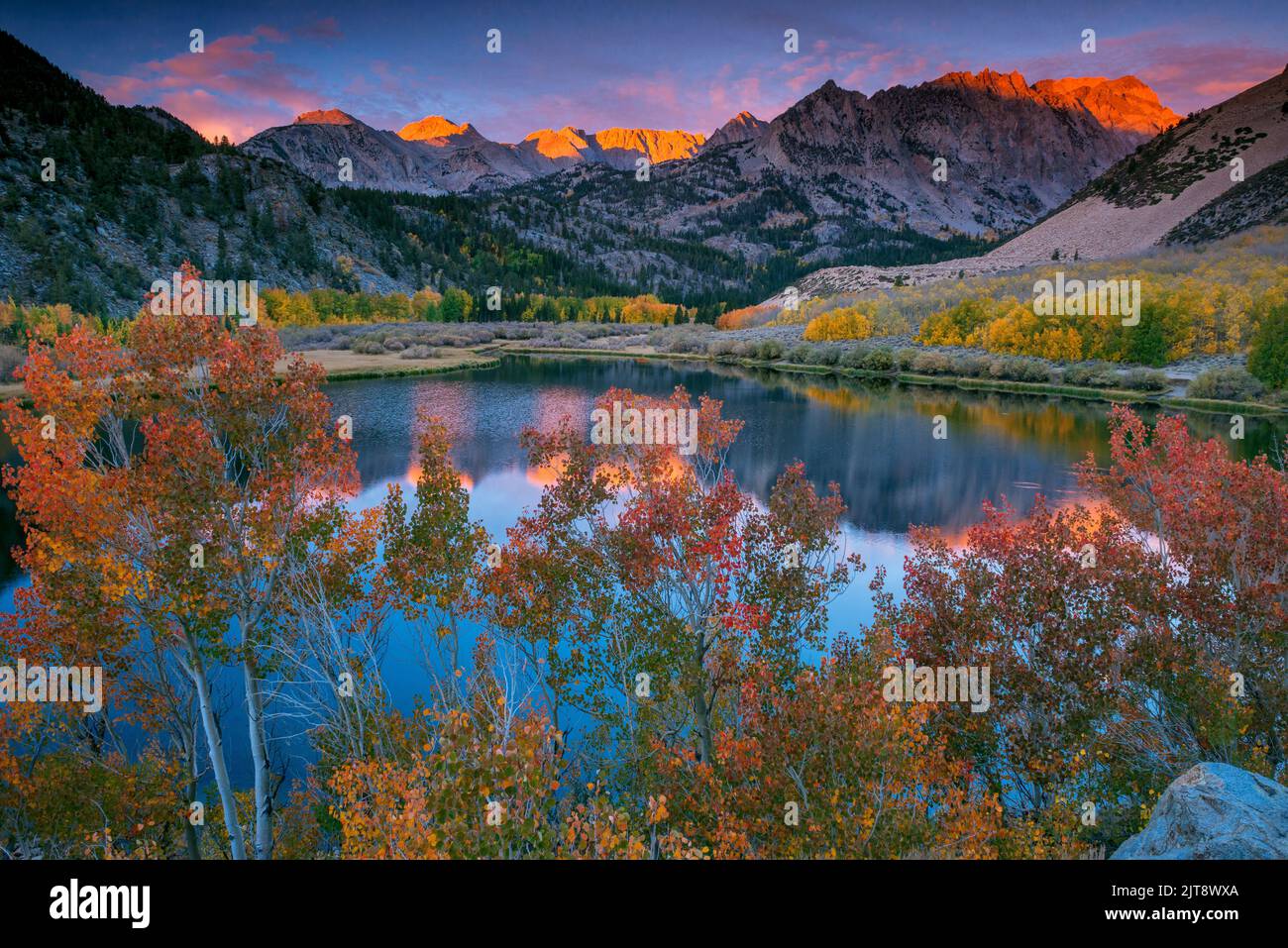 Dawn, Aspen, Populus Tremula, North Lake, Piute Crags, Bishop Creek National Recreation Area, Inyo National Forest, Eastern Sierra, California Stock Photo