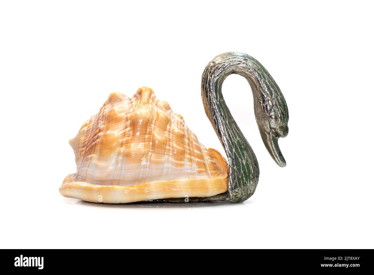 Image of swan sculpture with shells as part of its body. isolated on white background. Home decoration Stock Photo