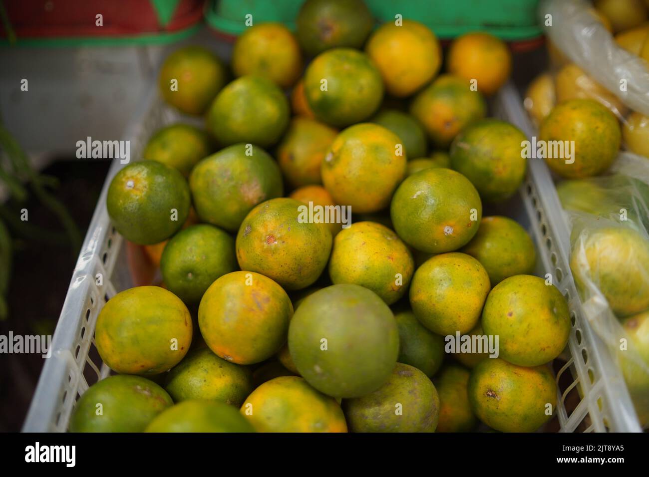 Fresh green and yellow local oranges sold in the traditional market