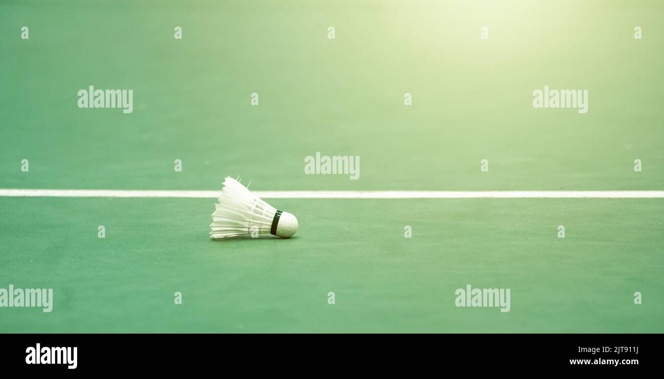 Shuttlecocks badminton White cream color on green floor of indoor