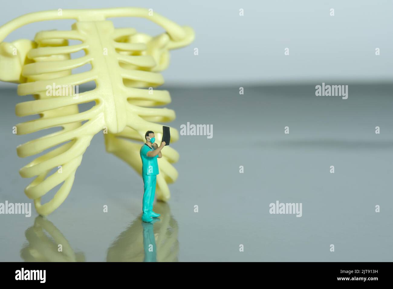 Miniature people toy figure photography. A doctor nurse observing on x ray result scan film in front of rib bone skeleton. Image photo Stock Photo