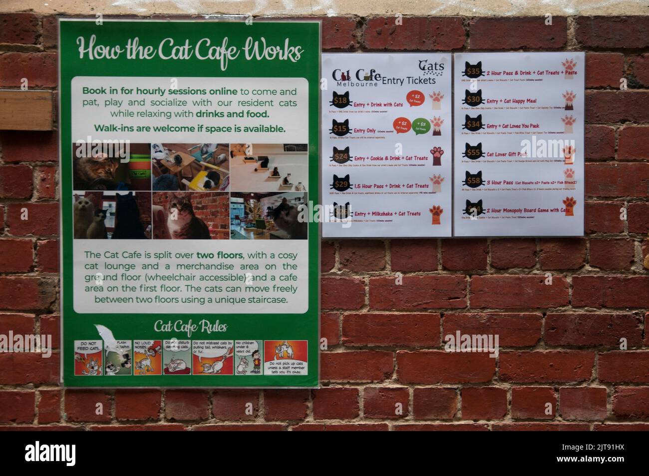 Quirky 'Cat Cafe' in a city laneway, Melbourne, Victoria Australia Stock Photo