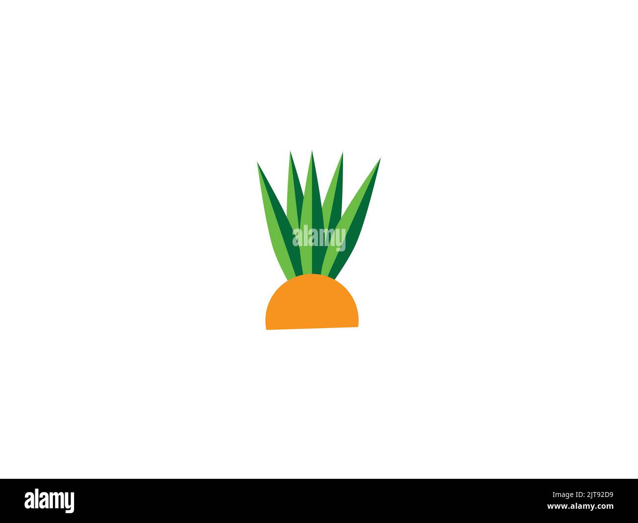 Cactus plant in a pot flower tree Stock Vector
