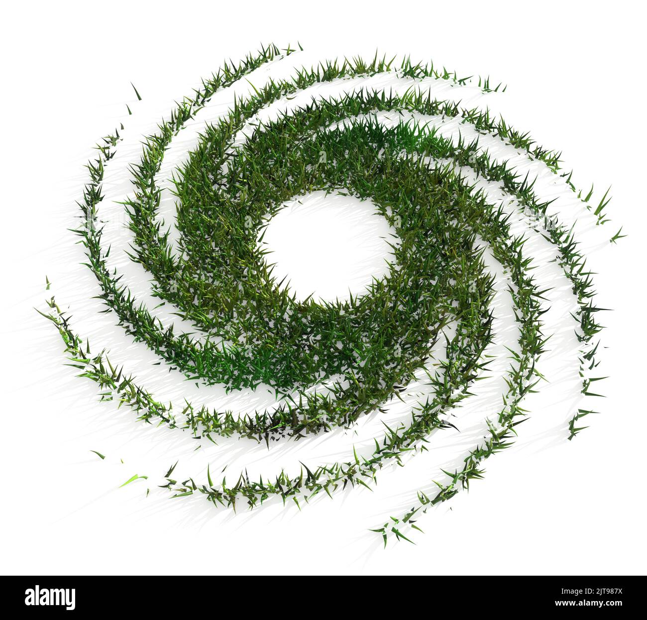 Lush green ground cover plant Cut Out Stock Images & Pictures - Alamy