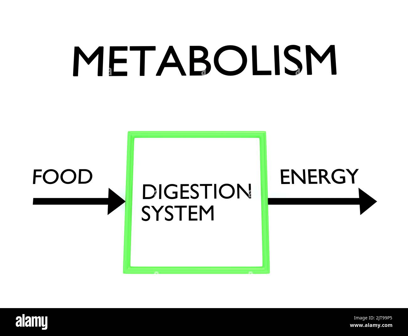 3D illustration of METABOLISM flowchart, in which a FOOD arrow enters from the left a box containing the script digestion process and an ENERGY arrow Stock Photo