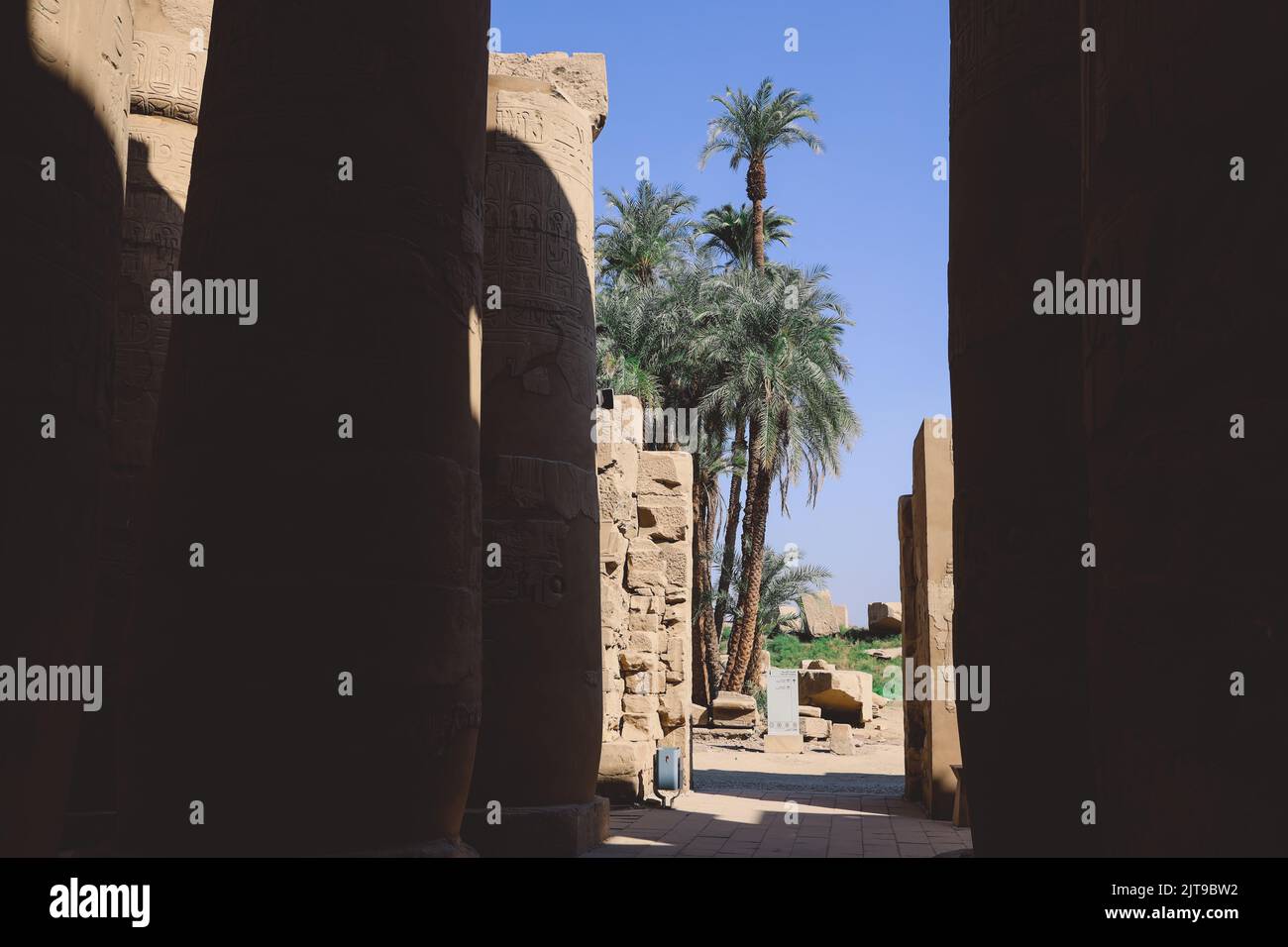 Ancient Egyptian Ruins of the Karnak Temple Complex with the Palm Trees